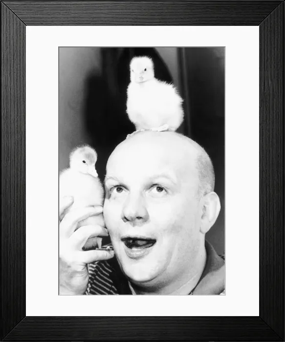 Framed Print : Brian Glover British actor with pet goslings, July 1984 Framed Print : Brian Glover British actor with pet goslings, July 1984