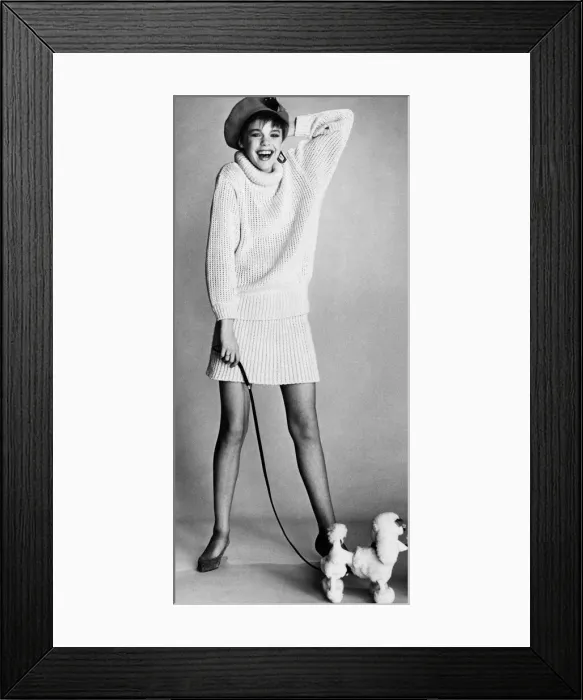 Framed Print : Fashion - Skirts: Ribby. Mini dress and matching roll-top Framed Print : Fashion - Skirts: Ribby. Mini dress and matching roll-top