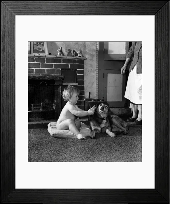 Framed Print : A baby girl sitting inside the house by the fire with pet dog December 1952 Framed Print : A baby girl sitting inside the house by the fire with pet dog December 1952