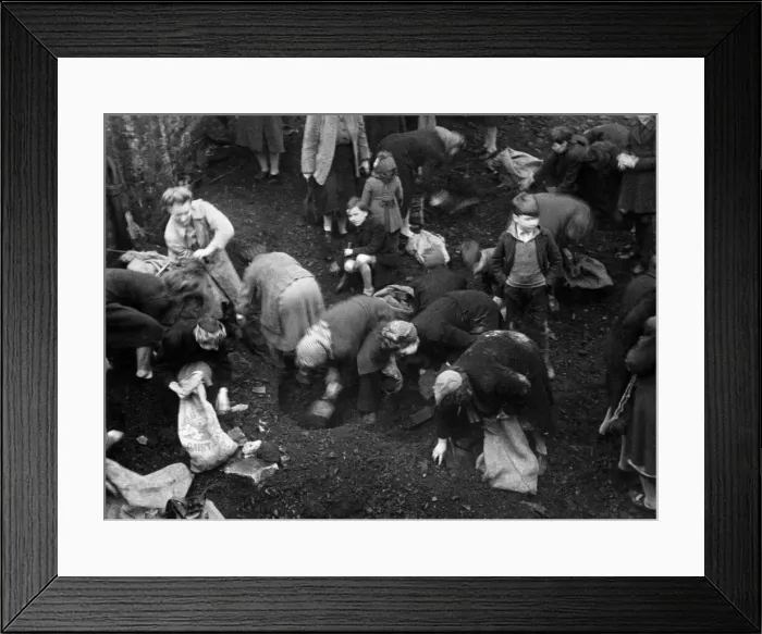 Framed Print : Picture shows women from the Southwark district of London gathering coal from a Bomb site Framed Print : Picture shows women from the Southwark district of London gathering coal from a Bomb site