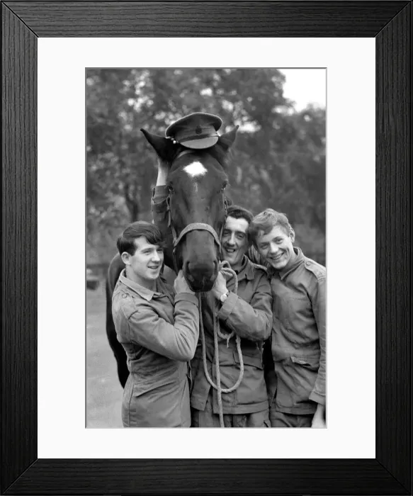 Framed Print : Stalin a young gelding who is one of the Queens unwanted horses Framed Print : Stalin a young gelding who is one of the Queens unwanted horses