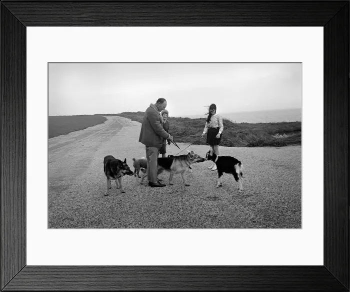 Framed Print : Lucy the goat who thinks shes a dog. She is seen with seen with her mistress Joan