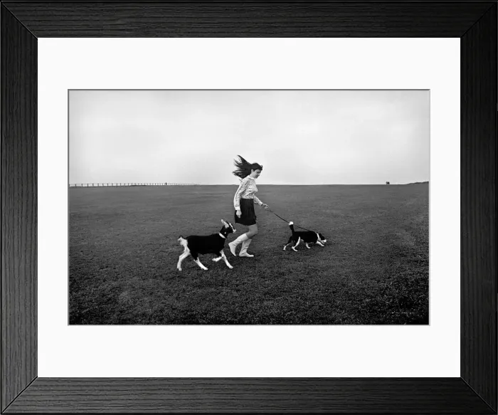 Framed Print : Lucy the goat who thinks shes a dog. She is seen with seen with her mistress Joan Framed Print : Lucy the goat who thinks shes a dog. She is seen with seen with her mistress Joan