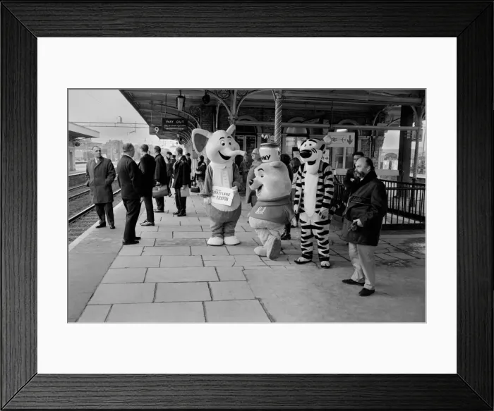 Framed Print : Entertainment Television Cartoons Humour. Walt Disney characters who are travelling round Framed Print : Entertainment Television Cartoons Humour. Walt Disney characters who are travelling round