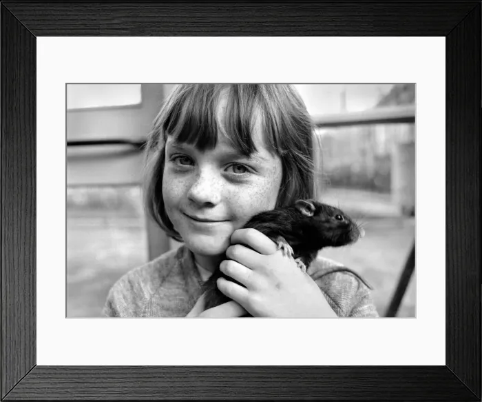 Framed Print : Little girl holding a rat. November 1969 Z10521-004