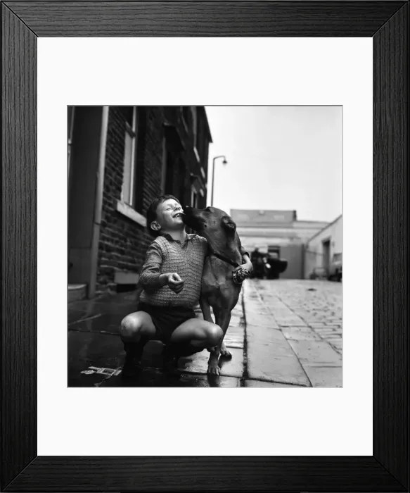 Framed Print : 7 year old William Fraser of Colne with Lady'the dog who saved his life Framed Print : 7 year old William Fraser of Colne with Lady'the dog who saved his life