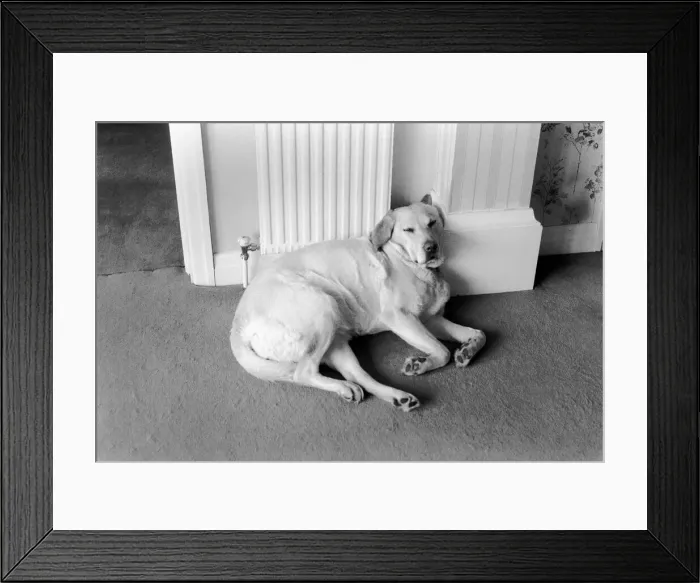 Framed Print : A wall to lean on, a warm radiator to rest your back against Framed Print : A wall to lean on, a warm radiator to rest your back against