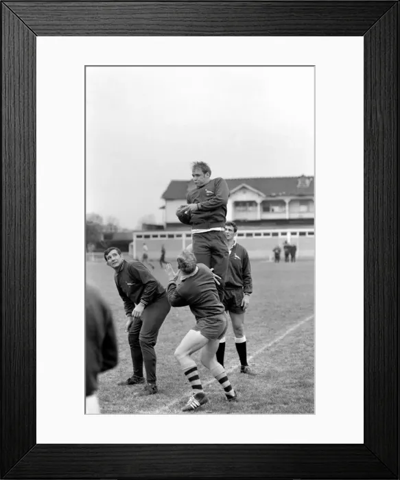 Framed Print : Sport: The South African springbok rugby team that flew in yesterday to be welcomed by Framed Print : Sport: The South African springbok rugby team that flew in yesterday to be welcomed by