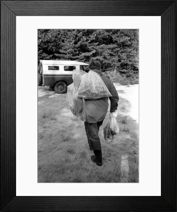 Framed Print : The shoot at Camberley, Surrey, started early today to exterminate all wild life