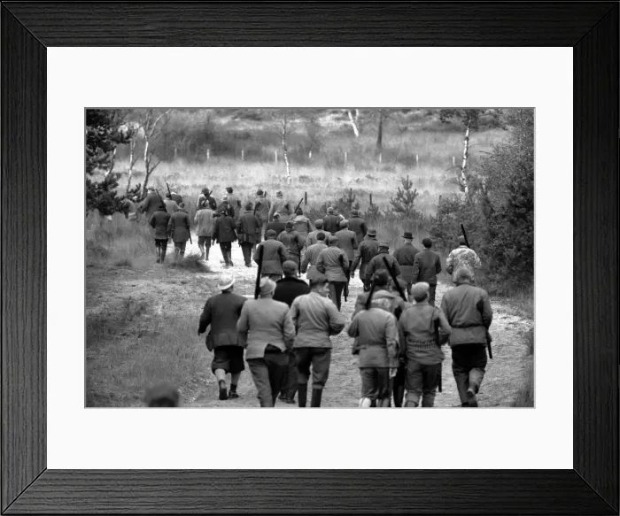 Framed Print : The shoot at Camberley, Surrey, started early today to exterminate all wild life Framed Print : The shoot at Camberley, Surrey, started early today to exterminate all wild life