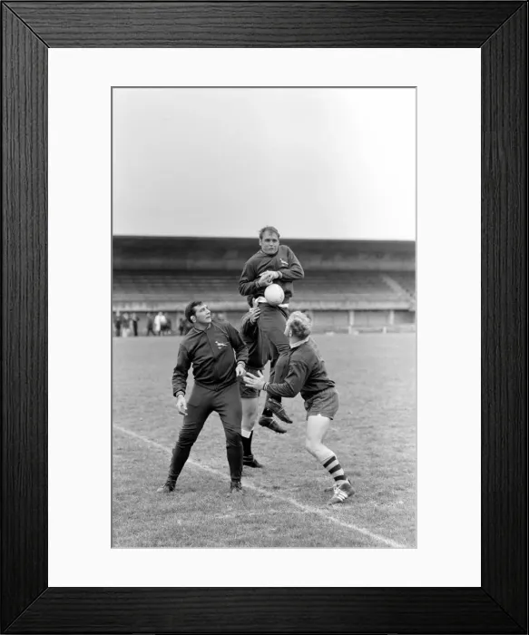 Framed Print : Sport: The South African springbok rugby team that flew in yesterday to be welcomed by