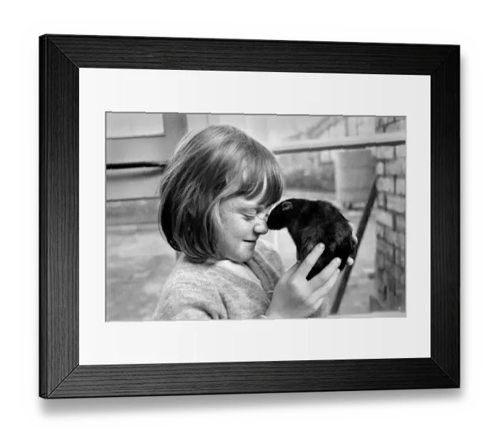 Framed Print : Little girl holding a rat. November 1969 Z10521