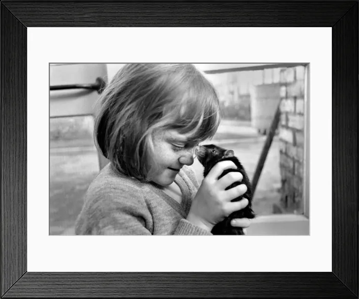 Framed Print : Little girl holding a rat. November 1969 Z10521-003 Framed Print : Little girl holding a rat. November 1969 Z10521-003