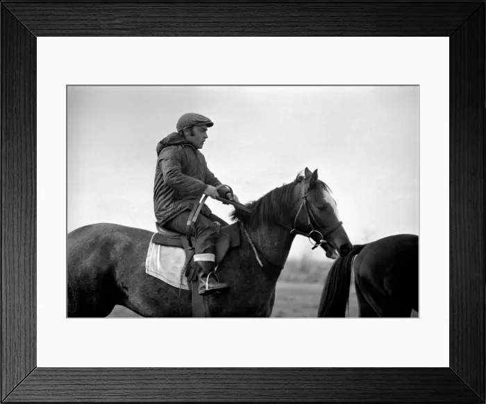 Framed Print : Yearling Ribchester'son of the famous Ribot Framed Print : Yearling Ribchester'son of the famous Ribot