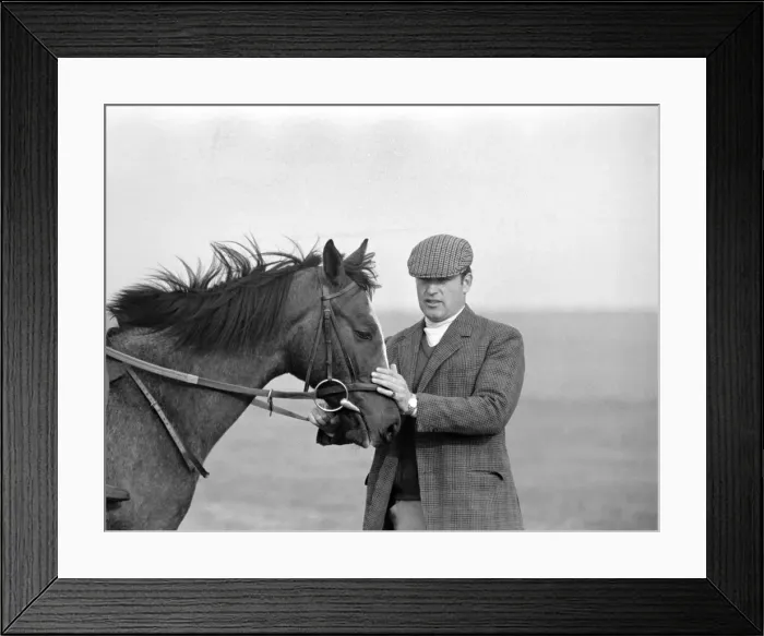 Framed Print : Yearling Ribchester'son of the famous Ribot Framed Print : Yearling Ribchester'son of the famous Ribot