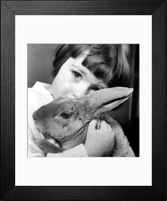 Framed Print : Young girl holding her pet rabbit February 1953 D835 Framed Print : Young girl holding her pet rabbit February 1953 D835