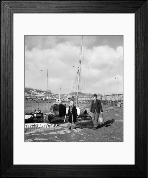 Framed Print : The earliest yellow narcissi called Soleil D or, which are grown on the Islands of