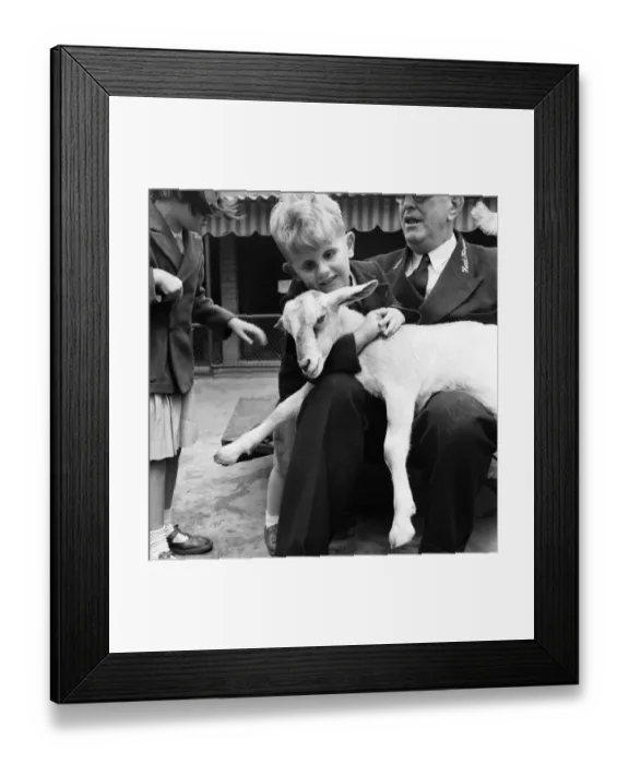 Framed Print : Animals and children Blind Child hold a goat at London Zoo Framed Print : Animals and children Blind Child hold a goat at London Zoo