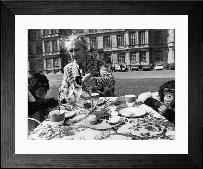 Framed Print : Lord Bath gave a tea party on the lawns of his house at Longleat. Wilts today