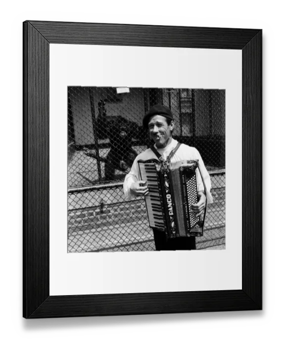 Framed Print : Busker Albert Puschase Seen here playing his accordion to vistors at London Zoo Framed Print : Busker Albert Puschase Seen here playing his accordion to vistors at London Zoo
