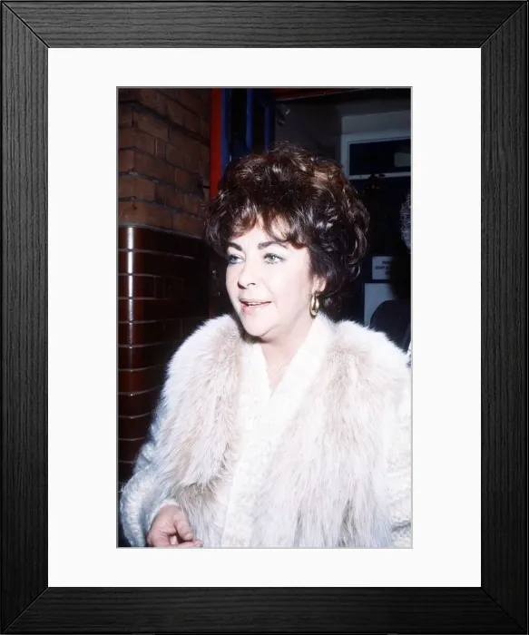 Framed Print : Elizabeth Taylor Feb 1982 wearing White Fur coat Dame Framed Print : Elizabeth Taylor Feb 1982 wearing White Fur coat Dame