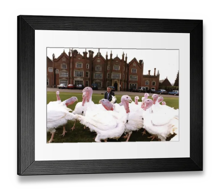 Framed Print : Bernard Matthews of Matthews Turkeys on the lawn outside his Mansion in Norfolk with