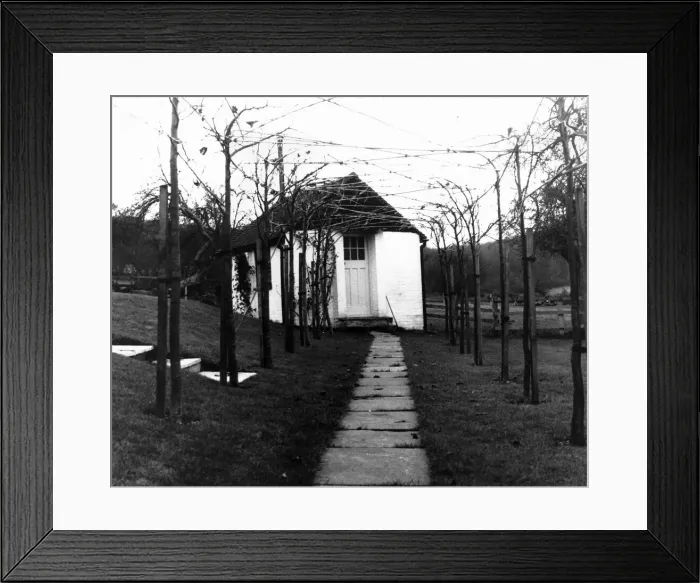 Framed Print : Roald Dahl writer author garden with pleached limes leads to the shed in the garden where Framed Print : Roald Dahl writer author garden with pleached limes leads to the shed in the garden where