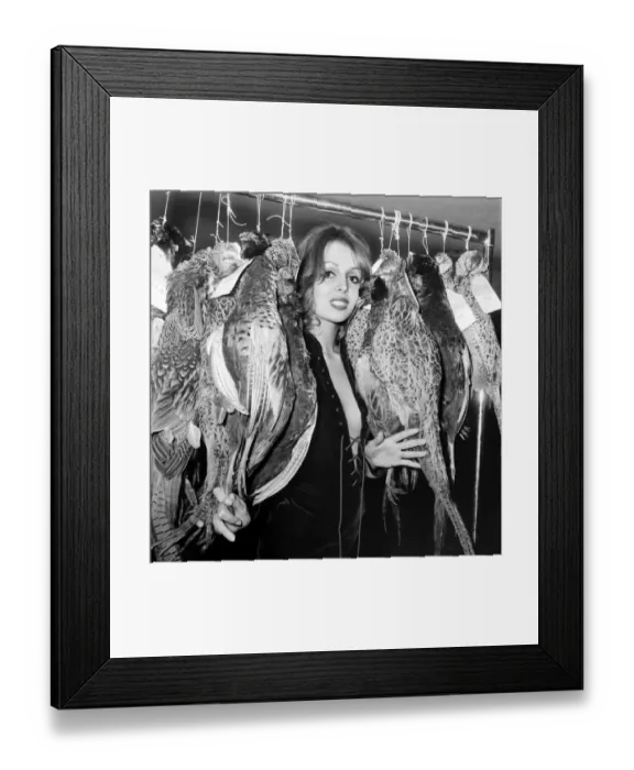 Framed Print : Clothing. Fashion. A charity ball in aid of the Greater London Fund for the blind is to Framed Print : Clothing. Fashion. A charity ball in aid of the Greater London Fund for the blind is to