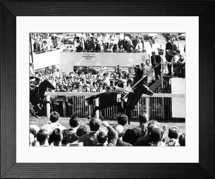 Framed Print : Lester Piggott on Nijinsky wins Derby 1970