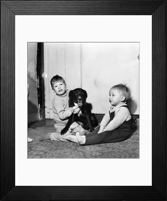 Framed Print : Animals with children - Dogs: Feeding time for Teeny Framed Print : Animals with children - Dogs: Feeding time for Teeny