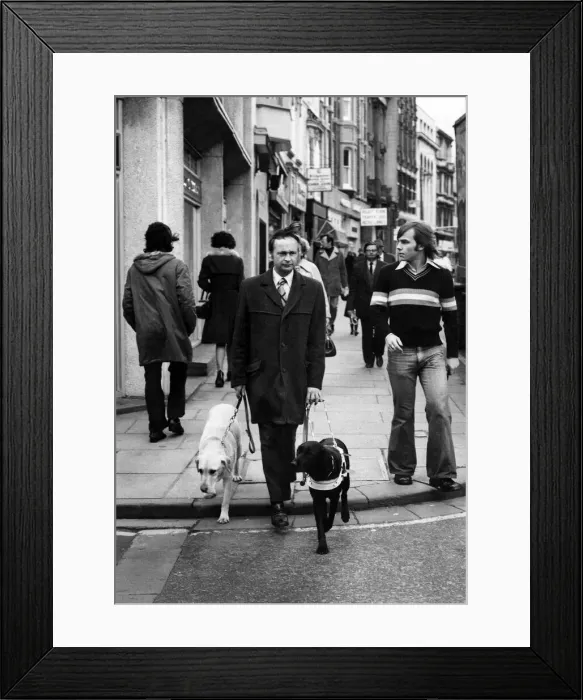 Framed Print : Kens guide dog was blind. Not once did the faithful old guide dog put a paw wrong as Framed Print : Kens guide dog was blind. Not once did the faithful old guide dog put a paw wrong as