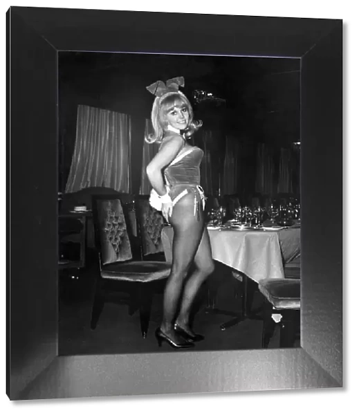Tracey Hudson as a Bunny girl at Londons playboy club. February 1972 P018593