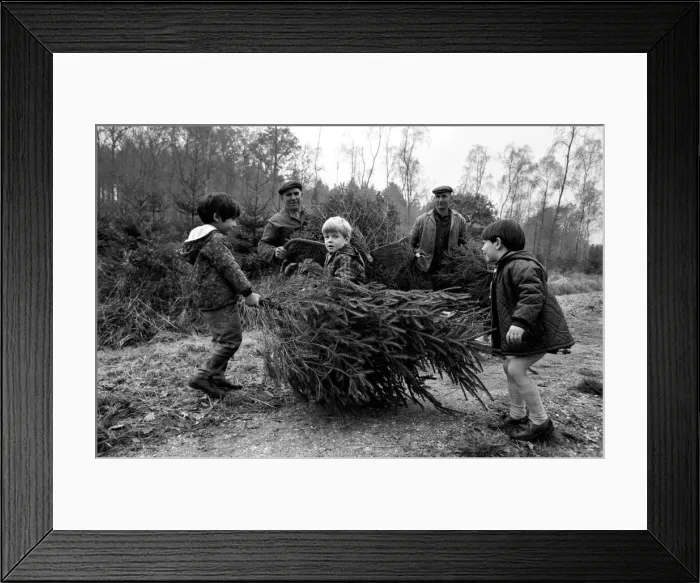 Framed Print : Forestry Commission employees - brothers Eill and Charlie Kitcher (Leather Jerkin