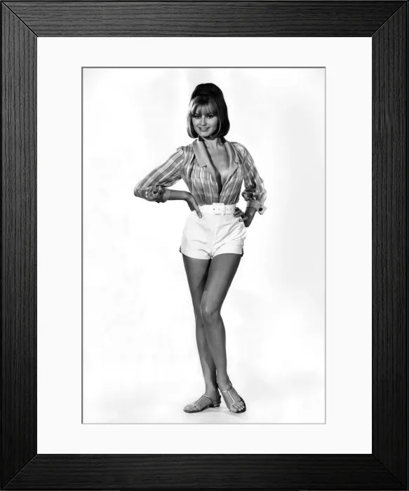 Framed Print : Woman wearing a long sleeved open shirt with white shorts June 1959 P018025 Framed Print : Woman wearing a long sleeved open shirt with white shorts June 1959 P018025