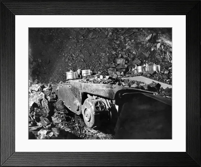 Framed Print : One of the pioneers of the modern system of intensive Framed Print : One of the pioneers of the modern system of intensive