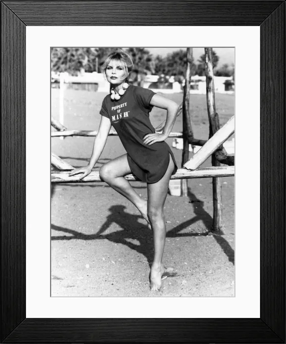 Framed Print : Fashion - Blouses. Chic and cheerful. You don t have to pay a fortune to look like a Framed Print : Fashion - Blouses. Chic and cheerful. You don t have to pay a fortune to look like a