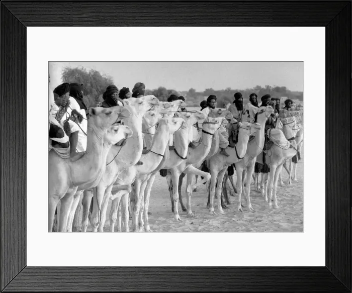 Framed Print : The DailyMirror Trans-African Hovercraft Expedition, which took place between 15 October Framed Print : The DailyMirror Trans-African Hovercraft Expedition, which took place between 15 October
