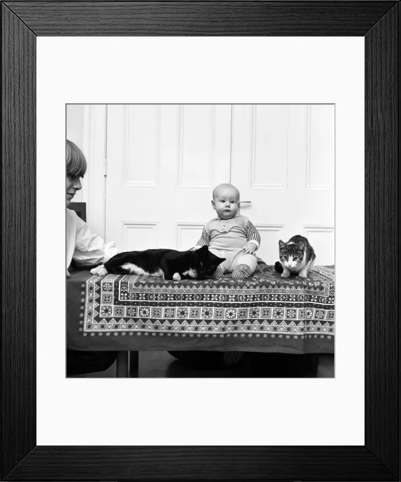 Framed Print : 6 months old baby Misha with her two cats Noisy and Cecily Parsley at their home in Framed Print : 6 months old baby Misha with her two cats Noisy and Cecily Parsley at their home in