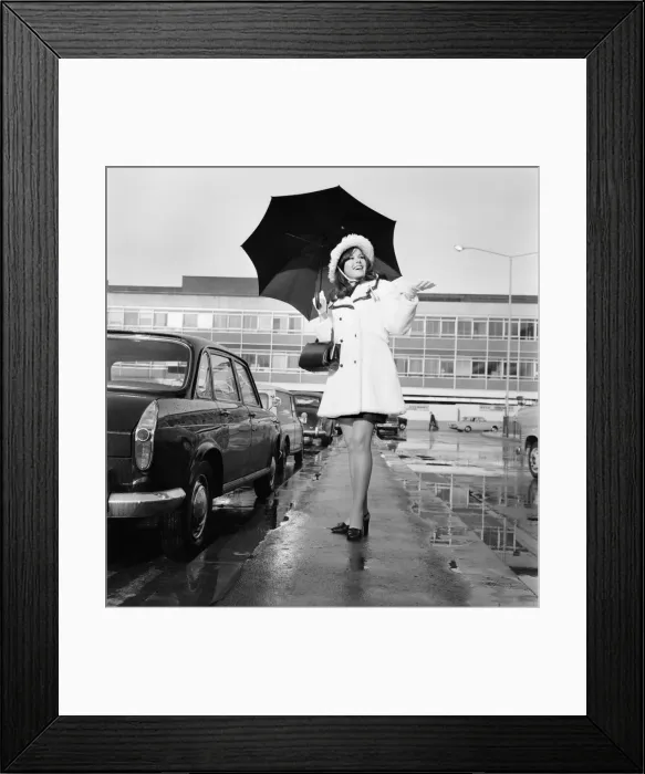 Framed Print : Miss Canada, 21 year old Jacqui Perring from Ontario arrived at Heathrow Framed Print : Miss Canada, 21 year old Jacqui Perring from Ontario arrived at Heathrow