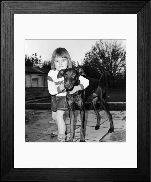 Framed Print : Children with animals. Julie Foster 6, with Jason the dog who was starved by eating only Framed Print : Children with animals. Julie Foster 6, with Jason the dog who was starved by eating only
