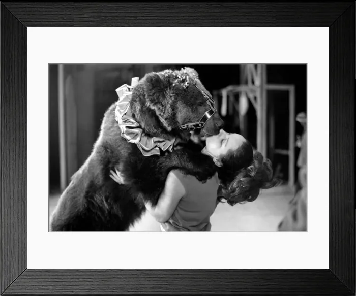 Framed Print : Paul and Danuska Ruppert from Germany, run what is claimed to be Framed Print : Paul and Danuska Ruppert from Germany, run what is claimed to be