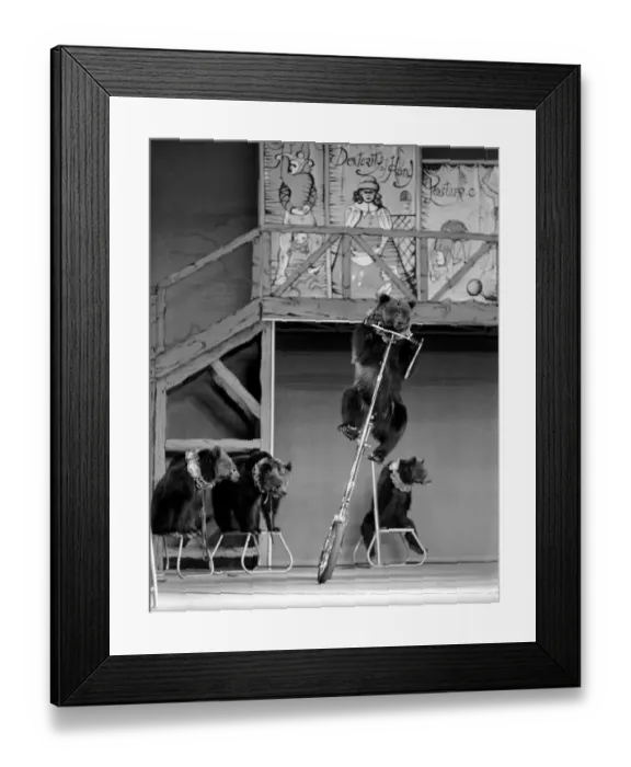 Framed Print : Paul and Danuska Ruppert from Germany, run what is claimed to be Framed Print : Paul and Danuska Ruppert from Germany, run what is claimed to be