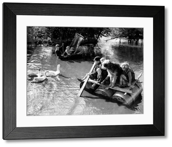 Framed Print : Ducks join in the Duck pond regatta'of the children Framed Print : Ducks join in the Duck pond regatta'of the children