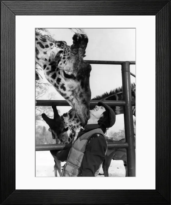 Framed Print : Lawrence exchanges cheek for a chin-wag with George. January 1982 P011765 Framed Print : Lawrence exchanges cheek for a chin-wag with George. January 1982 P011765