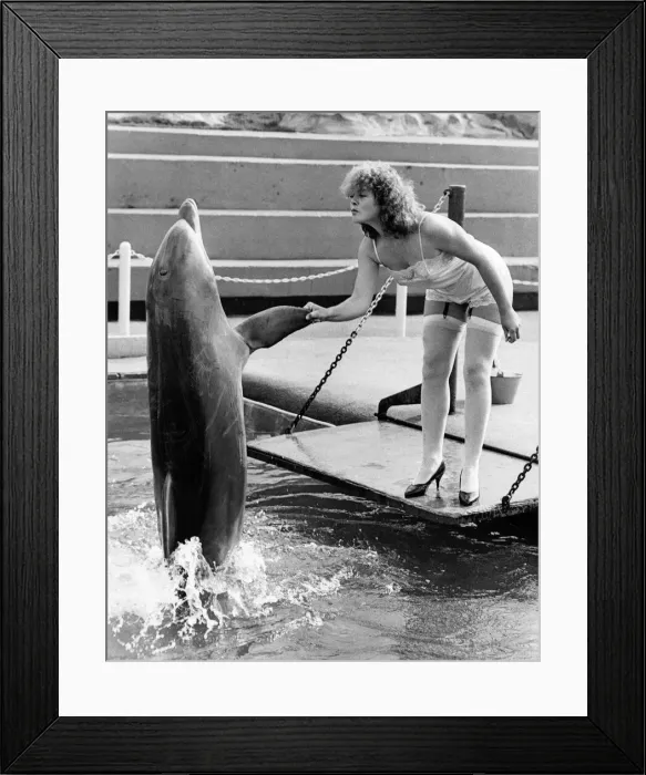 Framed Print : Deidres birthday greeting from a dolphin popping up to say hello