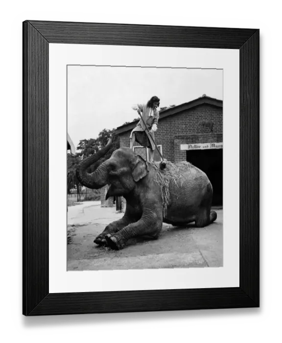 Framed Print : Basic treatment is the rub-down and massage which Margaret administers with a