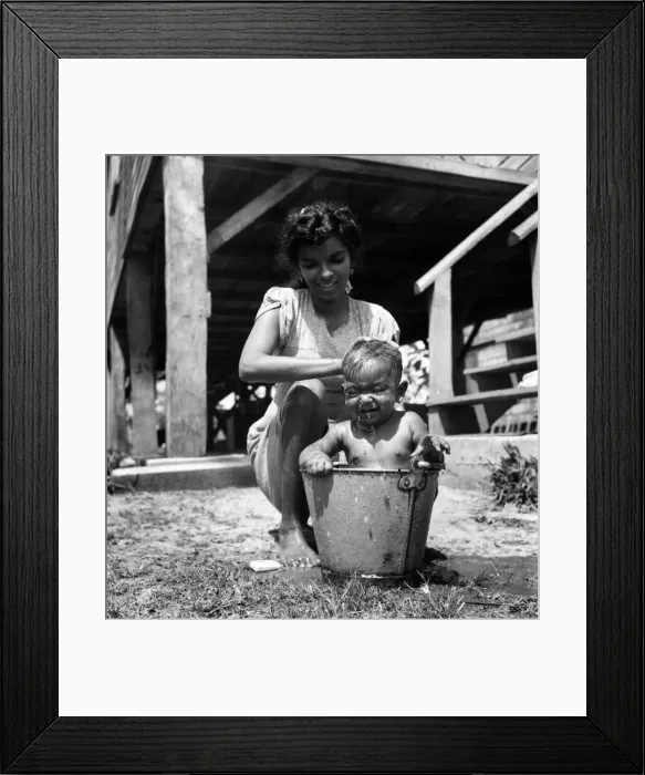 Framed Print : British Guiana: While driving through the out-skirts of George town I saw this amusing Framed Print : British Guiana: While driving through the out-skirts of George town I saw this amusing