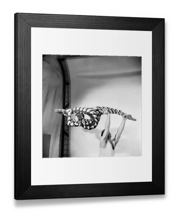 Framed Print : Entertainment Contortionist. Make no mistake about this girl - shes a twister Framed Print : Entertainment Contortionist. Make no mistake about this girl - shes a twister
