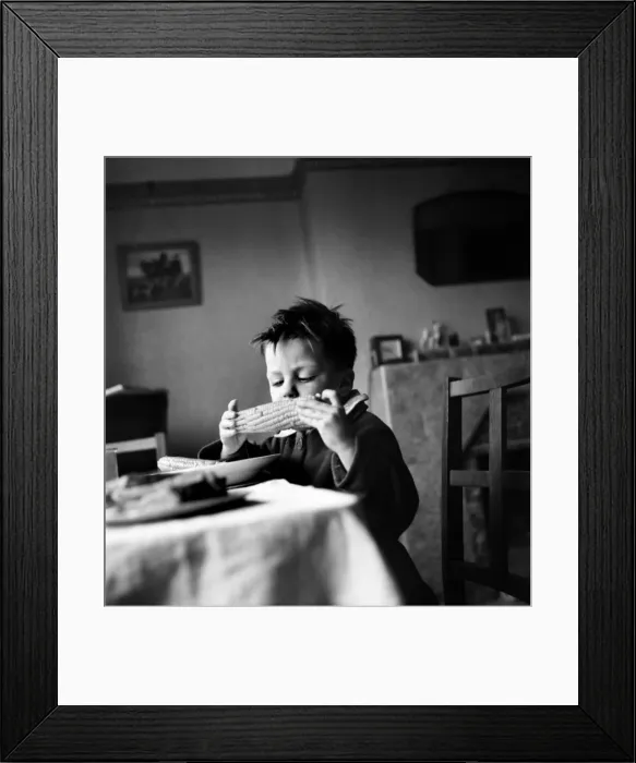 Framed Print : Small boy seen here eating corn on the cob for the first time Framed Print : Small boy seen here eating corn on the cob for the first time