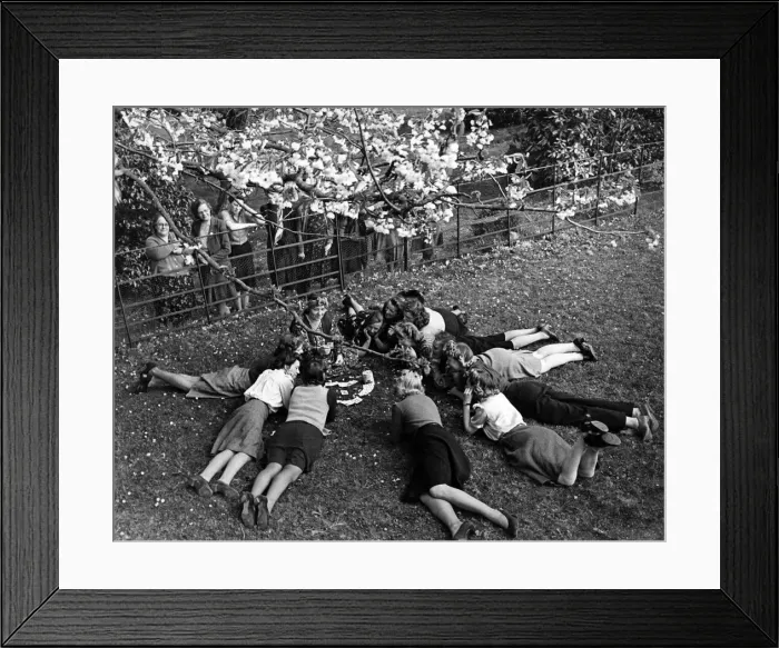 Framed Print : Munitions workers taking in the sunshine as they have their fortunes told by Miss Ethel Framed Print : Munitions workers taking in the sunshine as they have their fortunes told by Miss Ethel